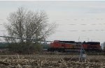 BNSF 5359